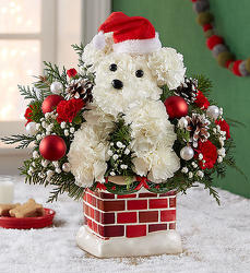 Santa Paws from Flowers by Ramon of Lawton, OK