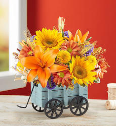 Harvest Hayride™ from Flowers by Ramon of Lawton, OK