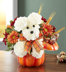 a-DOG-able® for Fall from Flowers by Ramon of Lawton, OK