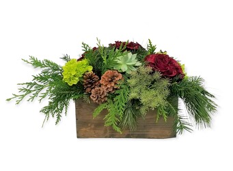 Christmas Farm Box from Flowers by Ramon of Lawton, OK