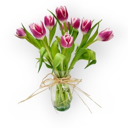 TULIP SPECIAL from Flowers by Ramon of Lawton, OK