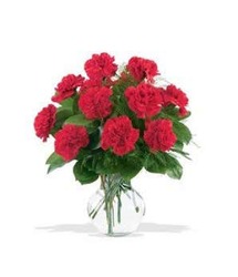 Classic Dozen Carnations from Flowers by Ramon of Lawton, OK