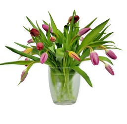 Spring Tulips from Flowers by Ramon of Lawton, OK
