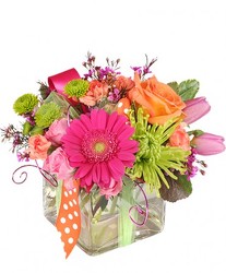 Happy Thoughts - Colorful from Flowers by Ramon of Lawton, OK