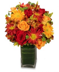 Colorful Canvas Arrangement from Flowers by Ramon of Lawton, OK