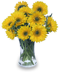Hello Sunshine! from Flowers by Ramon of Lawton, OK