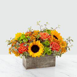 The FTD Garden Gathered Bouquet from Flowers by Ramon of Lawton, OK