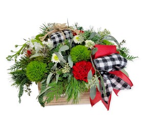 All Wrapped Up from Flowers by Ramon of Lawton, OK