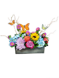 Butterfly Kisses Farm Box MD from Flowers by Ramon of Lawton, OK