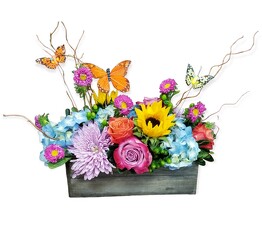 Butterfly Kisses Farm Box MD from Flowers by Ramon of Lawton, OK