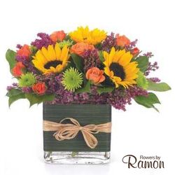 Birthday Brilliance from Flowers by Ramon of Lawton, OK