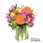 Bright Side Blooms