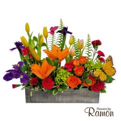 The Butterfly Garden from Flowers by Ramon of Lawton, OK