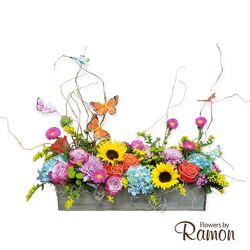 Butterfly Kisses Farm Box LG from Flowers by Ramon of Lawton, OK