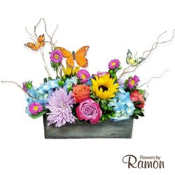 Butterfly Kisses Farm Box MD from Flowers by Ramon of Lawton, OK