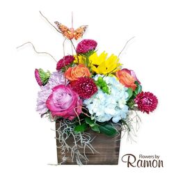 Butterfly Kisses Farm Box SM from Flowers by Ramon of Lawton, OK