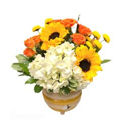 BeeCause You're Special from Flowers by Ramon of Lawton, OK