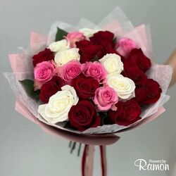 Rose Special 2 Dozen Wrapped Roses from Flowers by Ramon of Lawton, OK