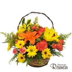 Cheergiver Basket from Flowers by Ramon of Lawton, OK