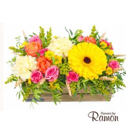 Citrus Garden from Flowers by Ramon of Lawton, OK