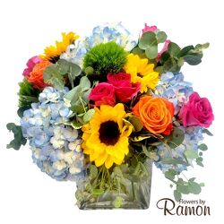 Color Craze from Flowers by Ramon of Lawton, OK