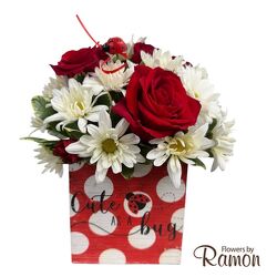 Cute as a Bug from Flowers by Ramon of Lawton, OK