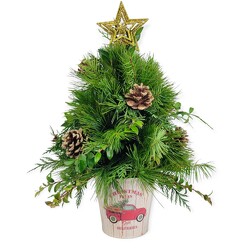 Oh Christmas Tree! from Flowers by Ramon of Lawton, OK