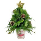 Oh Christmas Tree!