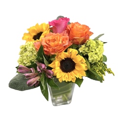 Citrus Sunrise from Flowers by Ramon of Lawton, OK