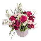 Cotton Candy Pop Cotton Candy Pop