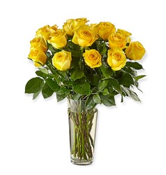A Dozen Yellow Roses from Flowers by Ramon of Lawton, OK