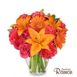 Feeling Hot! Hot! Hot! from Flowers by Ramon of Lawton, OK