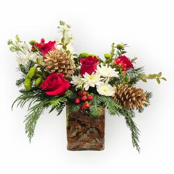 Festive Pines from Flowers by Ramon of Lawton, OK