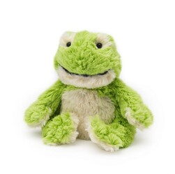 FROG WARMIE from Flowers by Ramon of Lawton, OK