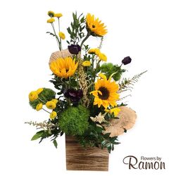 Golden Hour from Flowers by Ramon of Lawton, OK