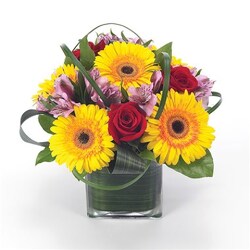 Gerbera Party from Flowers by Ramon of Lawton, OK