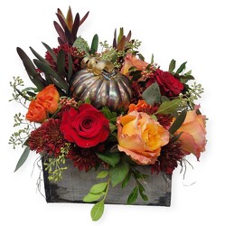 Glamorous Pumpkin Patch from Flowers by Ramon of Lawton, OK