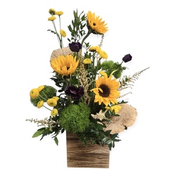 Golden Hour from Flowers by Ramon of Lawton, OK