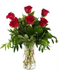 Half Dozen Roses from Flowers by Ramon of Lawton, OK