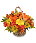 Cheergiver Basket from Flowers by Ramon of Lawton, OK