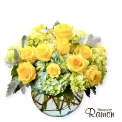 Lemon Drop Dreams from Flowers by Ramon of Lawton, OK