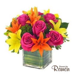 Lovely Lily & Rose Celebration from Flowers by Ramon of Lawton, OK