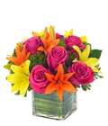 Lovely Lily & Rose Celebration