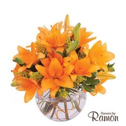 Orange Lily Sorbet from Flowers by Ramon of Lawton, OK