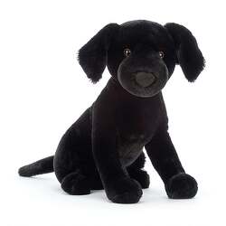 Pippa Black Labrador from Flowers by Ramon of Lawton, OK