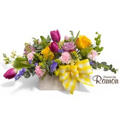 Pastel Pop Delight from Flowers by Ramon of Lawton, OK