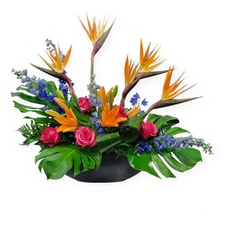 A Taste of the Tropics from Flowers by Ramon of Lawton, OK