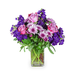 Purple Radiance from Flowers by Ramon of Lawton, OK