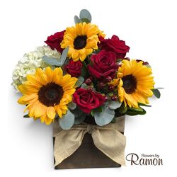 Rustic Harvest from Flowers by Ramon of Lawton, OK