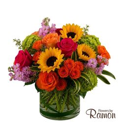 Summer Splash from Flowers by Ramon of Lawton, OK